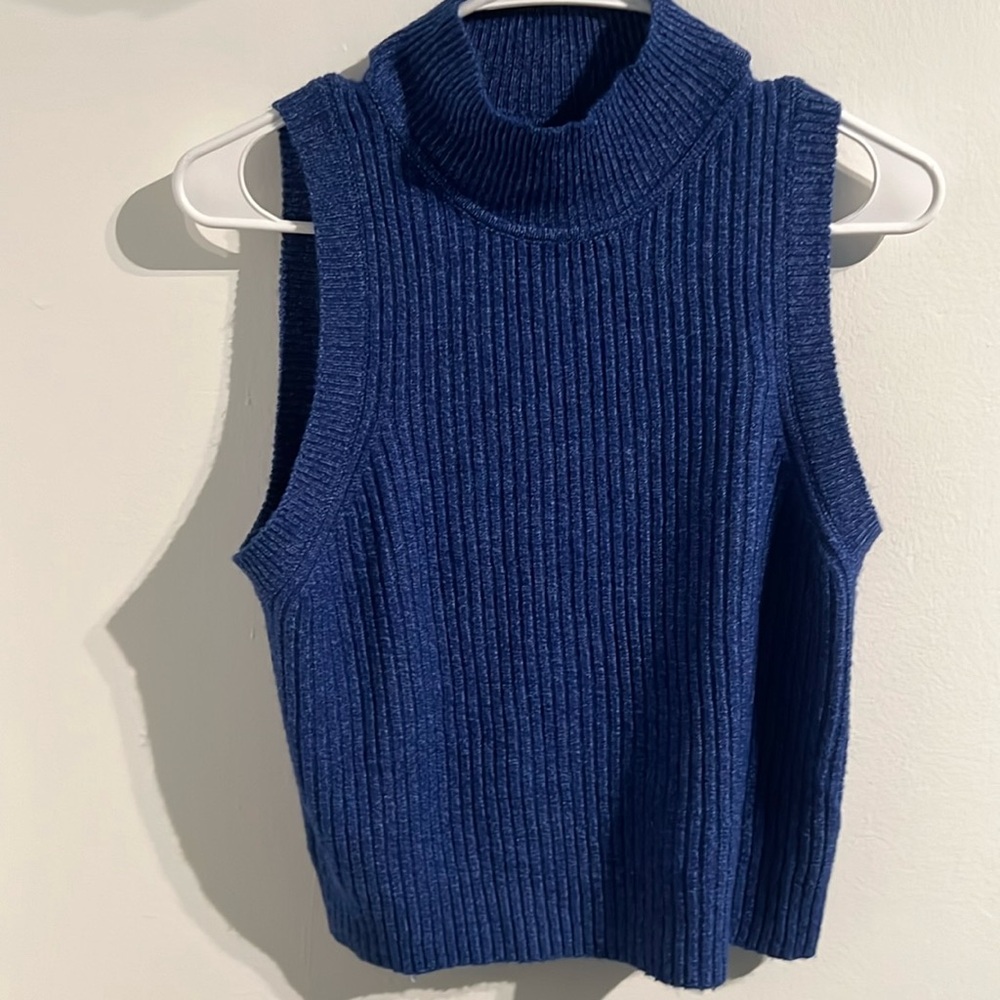 Jessica Simpson Sweater vest | Blue | Large